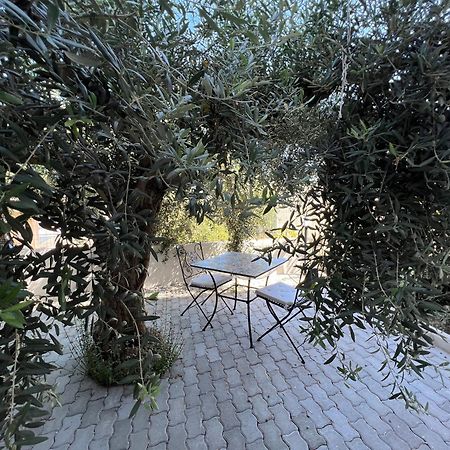 Appartamento L'Ulivo Бранкалеоне-Марина Экстерьер фото