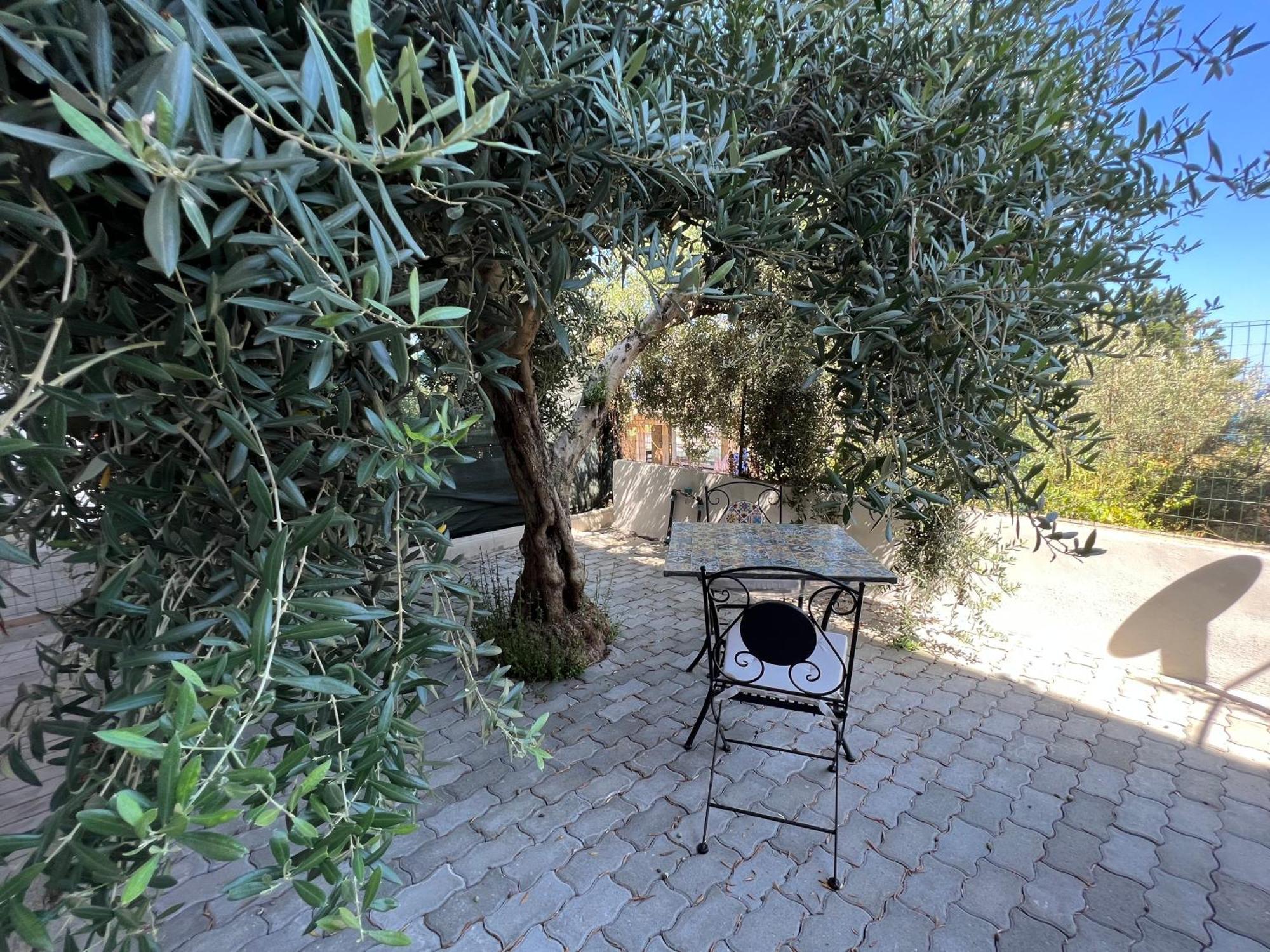 Appartamento L'Ulivo Бранкалеоне-Марина Экстерьер фото